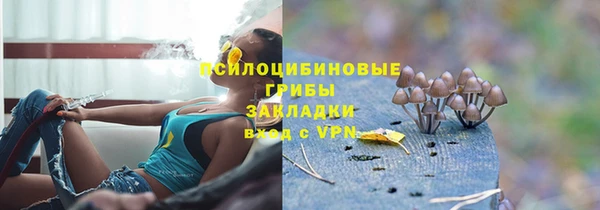 молекула духа Верхний Тагил