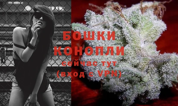 молекула духа Верхний Тагил