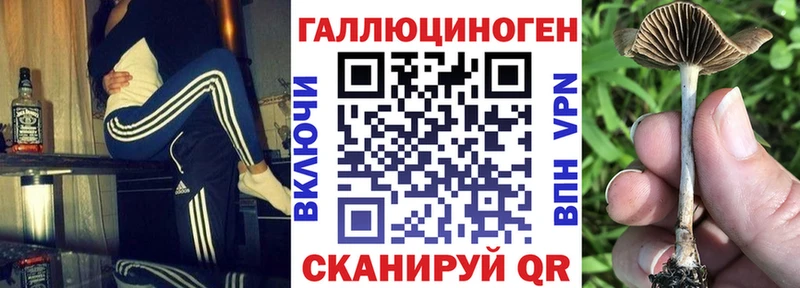 Галлюциногенные грибы Psilocybine cubensis  mega ссылки  Домодедово 